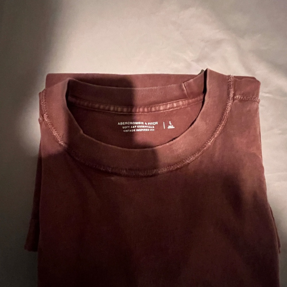 Abercrombie & Fitch Rust T-Shirt